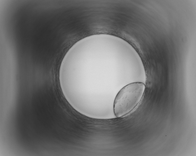 X0000102540162200808081057