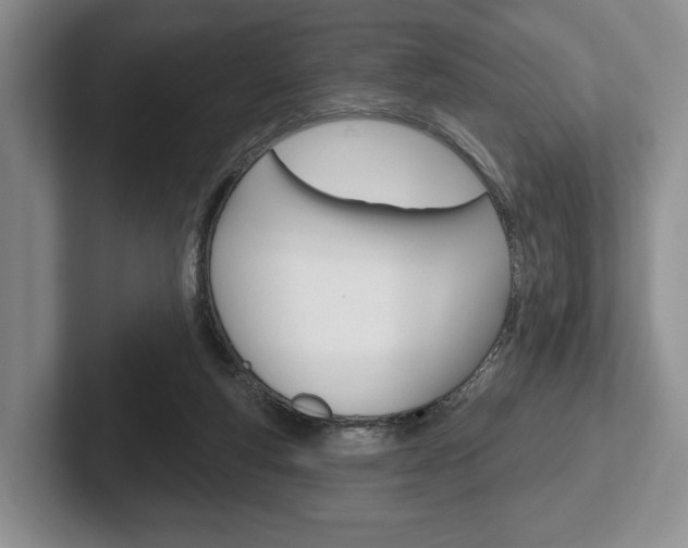 X0000102540163200808081057