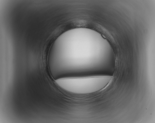 X0000102540170200808081057