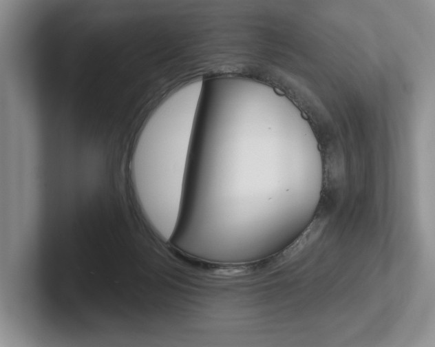 X0000102540172200808081057