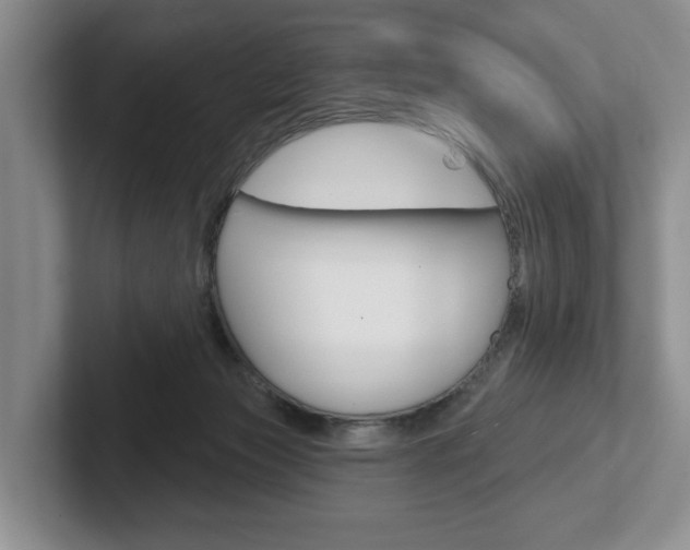 X0000102540173200808081057