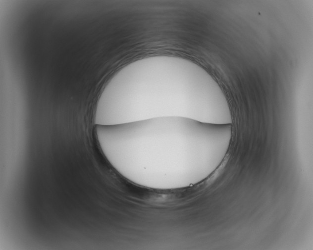 X0000102540174200808081057