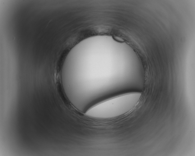 X0000102540176200808081057