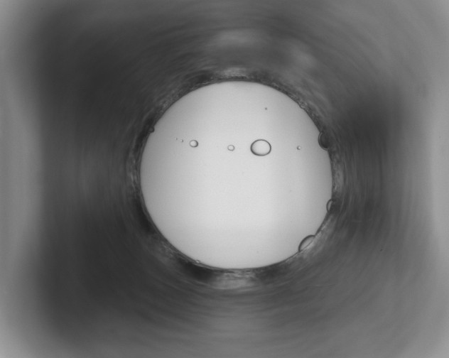 X0000102540179200808081057