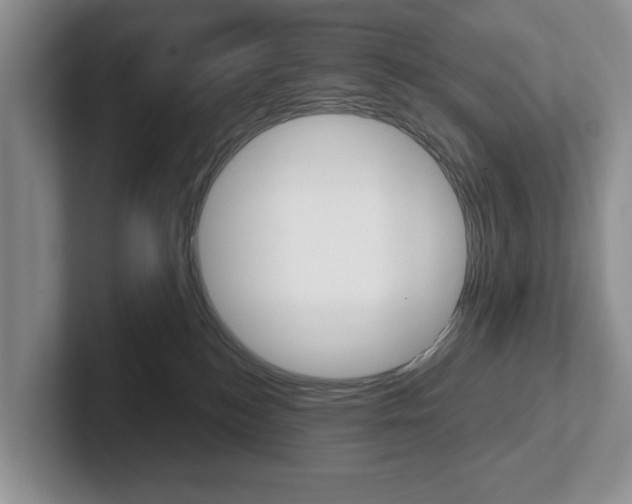X0000102540184200808081057