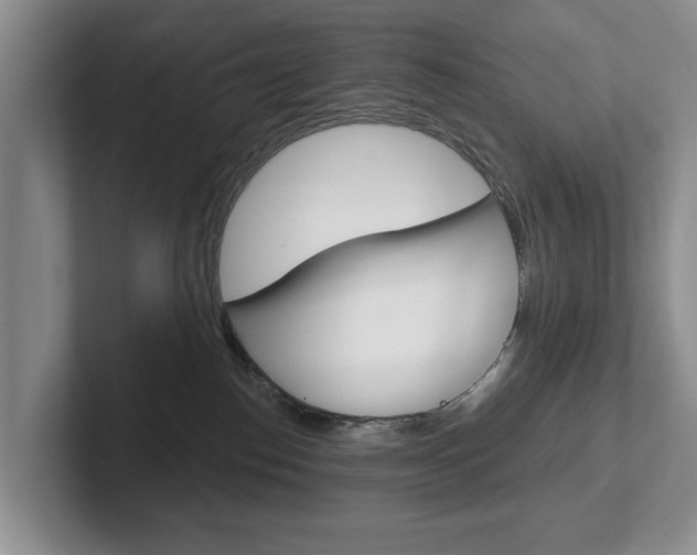 X0000102540186200808081057
