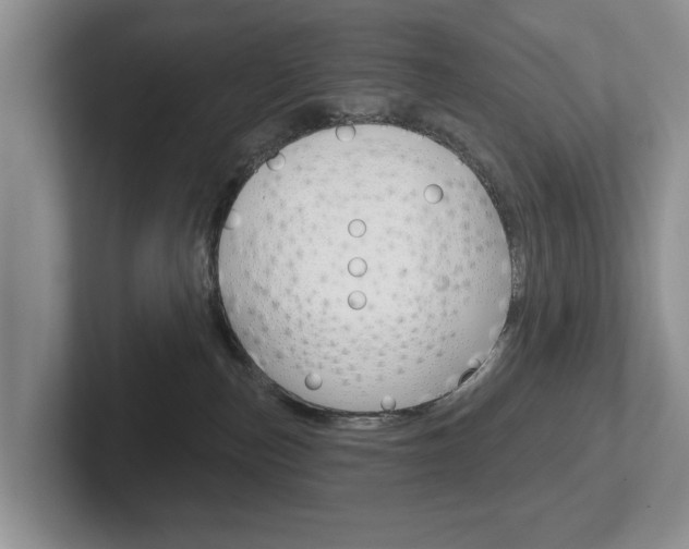 X0000102540187200808081057