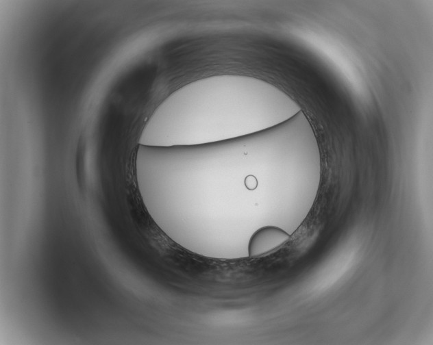 X0000102540189200808081057