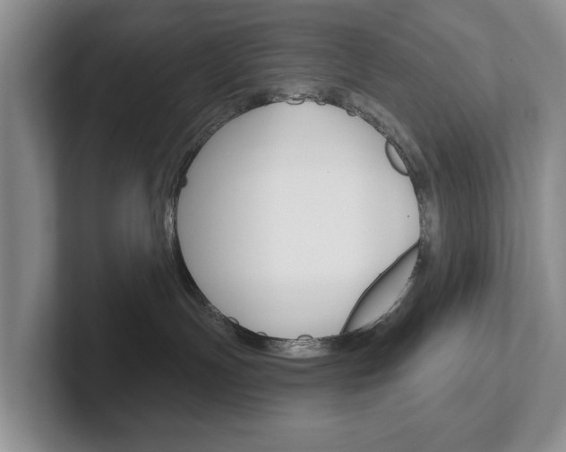 X0000102540191200808081057