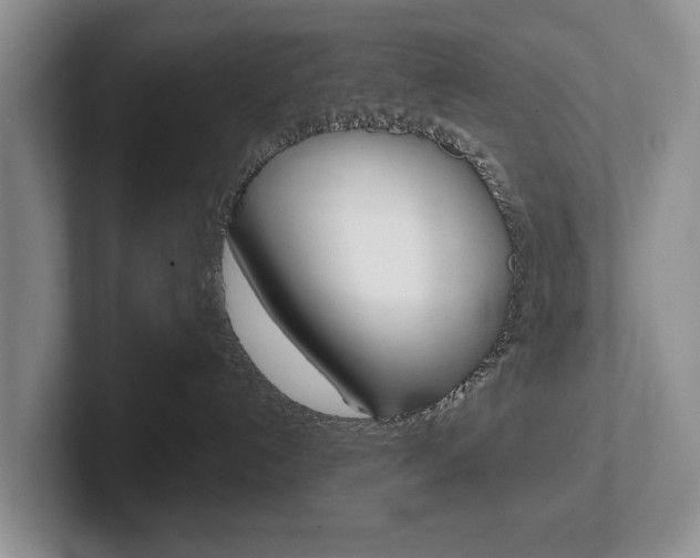 X0000102540192200808081057