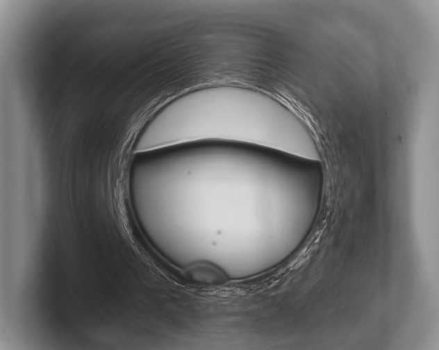 X0000102540193200808081057