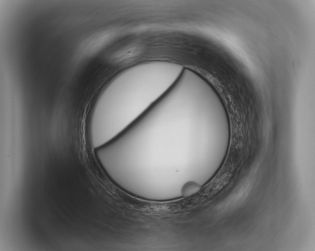 X0000102540194200808081057