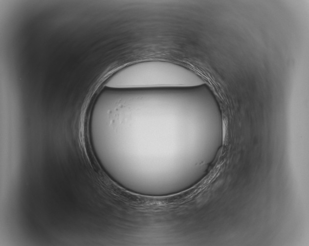 X0000102540195200808081057