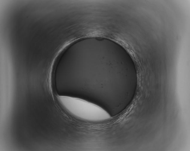 X0000102540196200808081057