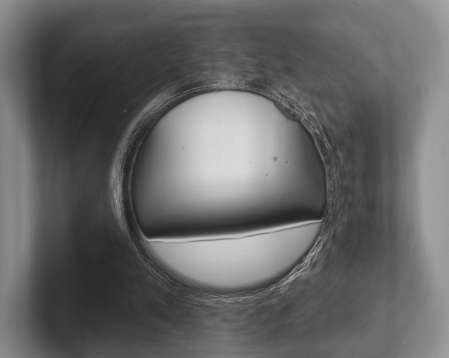 X0000102540197200808081057