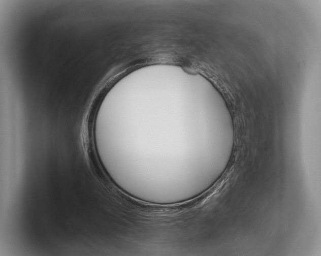 X0000102540198200808081057