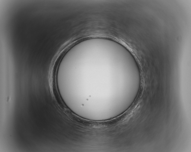 X0000102540199200808081057