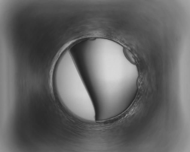 X0000102540200200808081057