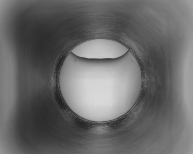 X0000102540210200808081056