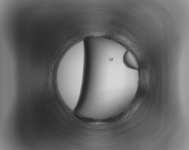 X0000102540212200808081056