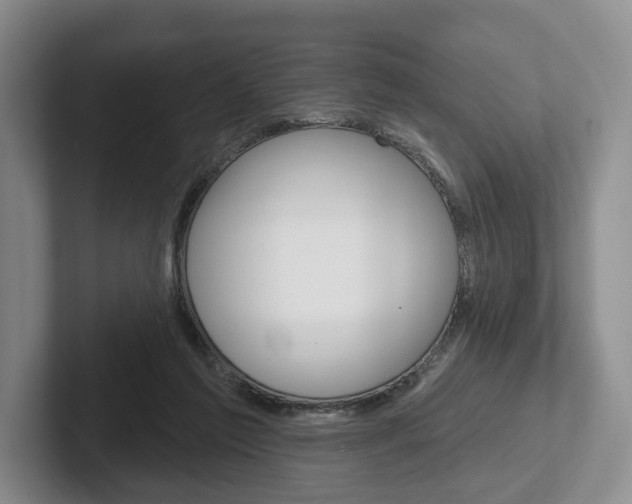 X0000102540213200808081056