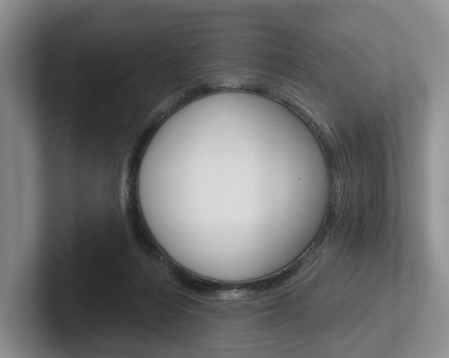 X0000102540216200808081056