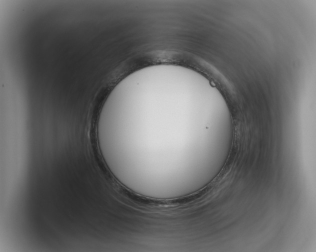 X0000102540217200808081056