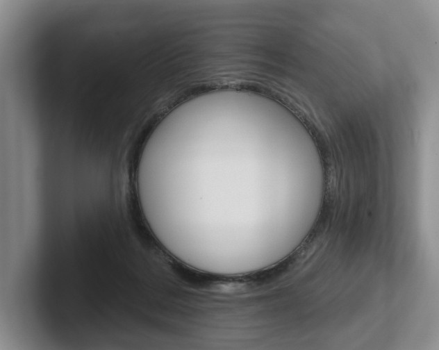X0000102540220200808081056