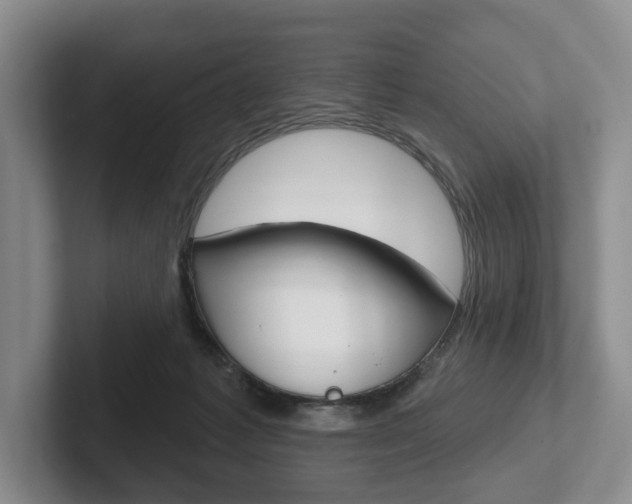 X0000102540221200808081056