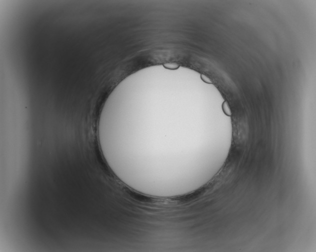 X0000102540226200808081056