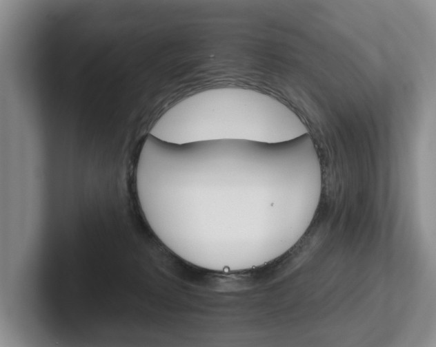 X0000102540229200808081056
