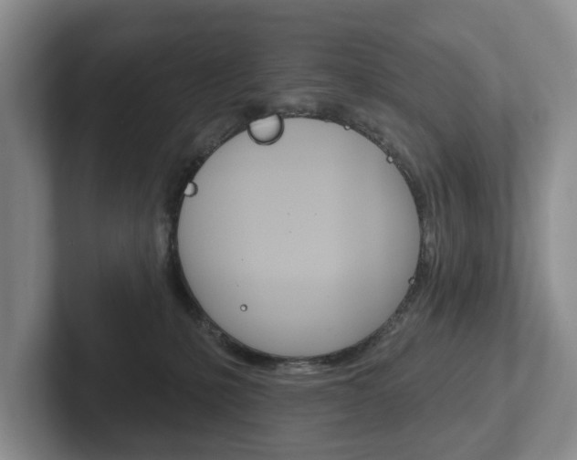 X0000102540231200808081056