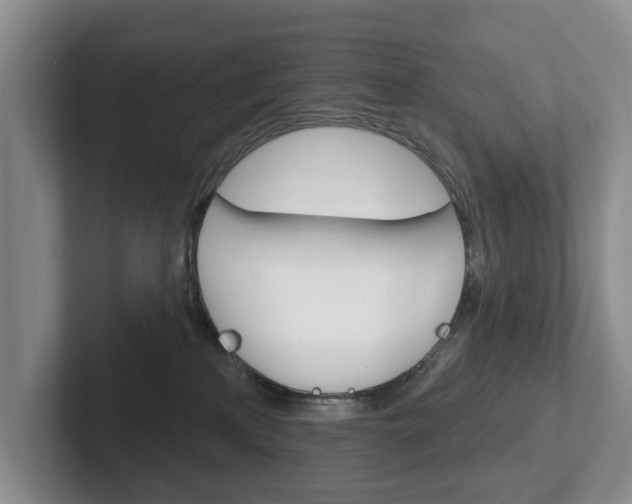 X0000102540233200808081056