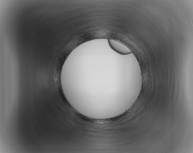 X0000102540234200808081056