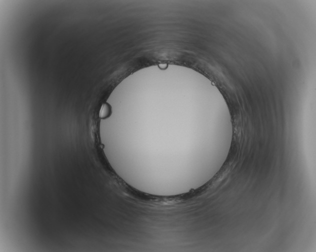 X0000102540235200808081056