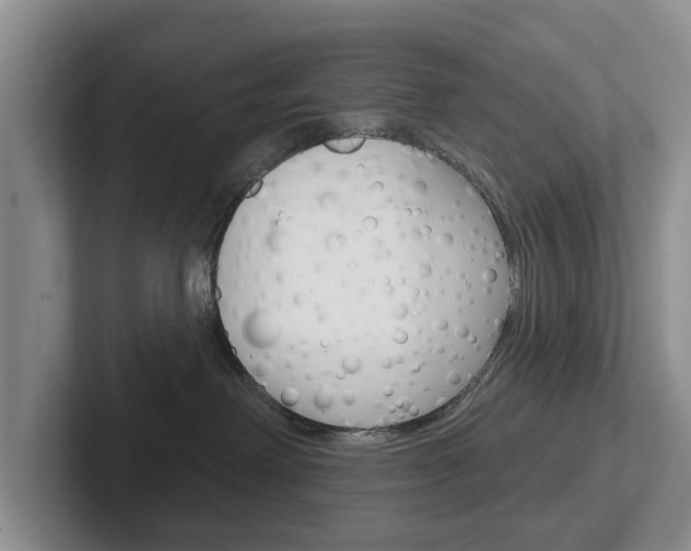 X0000102540238200808081056