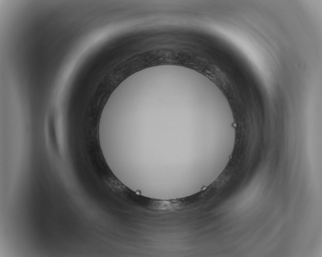 X0000102540239200808081056