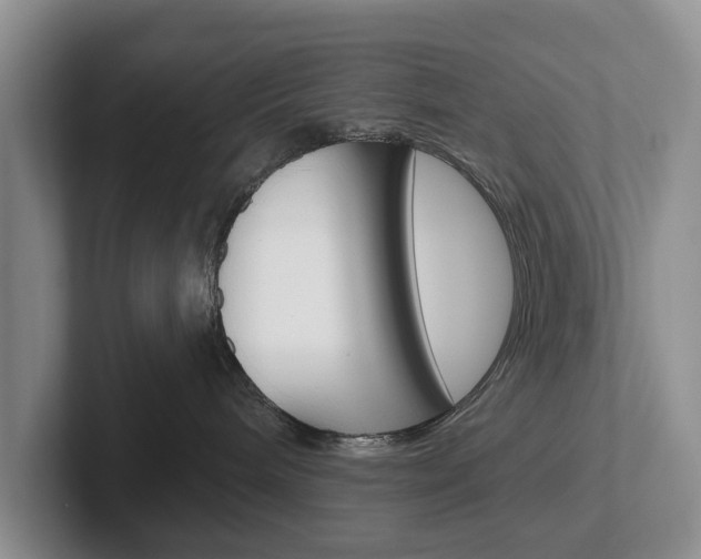 X0000102540240200808081056