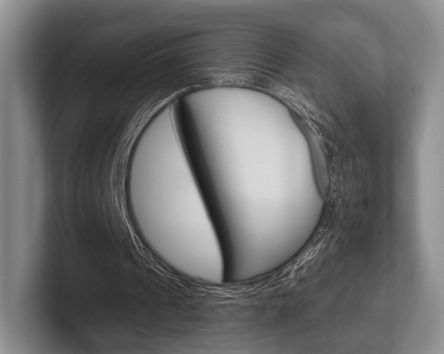 X0000102540241200808081055