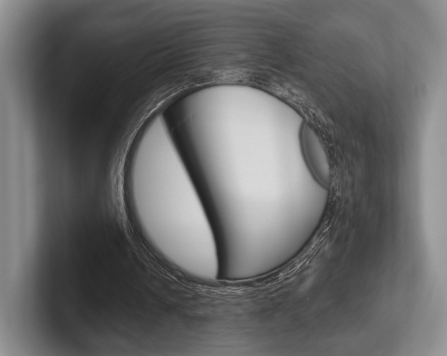 X0000102540242200808081055