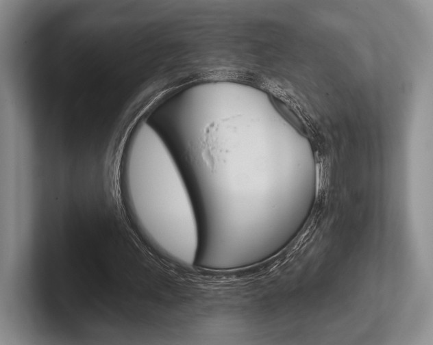 X0000102540243200808081055