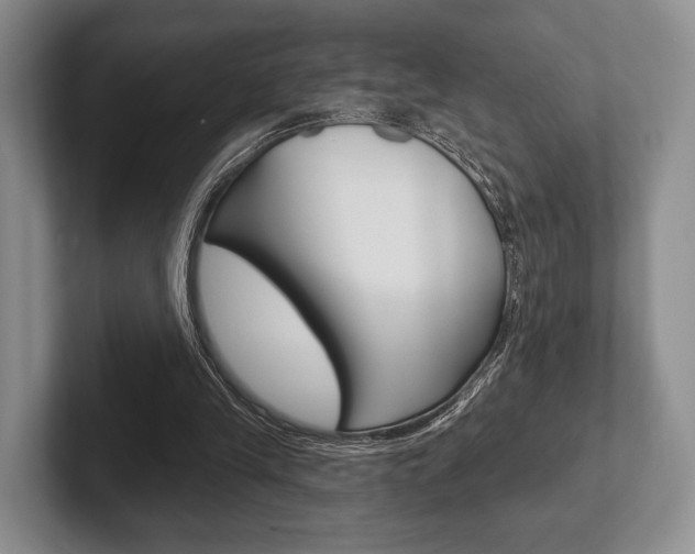 X0000102540245200808081056