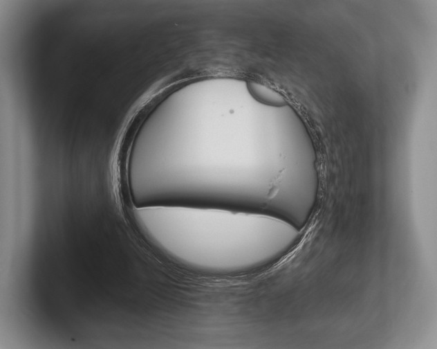 X0000102540246200808081056