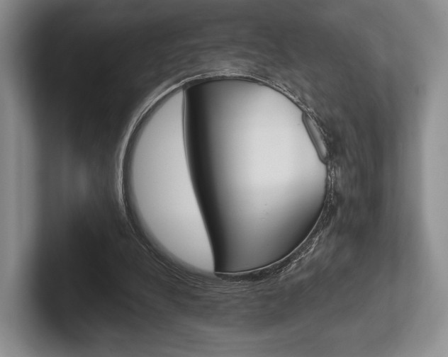 X0000102540248200808081056