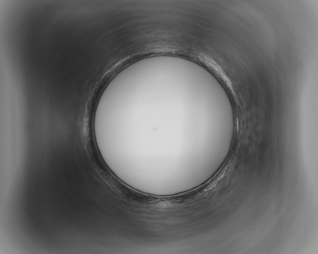 X0000102540249200808081056