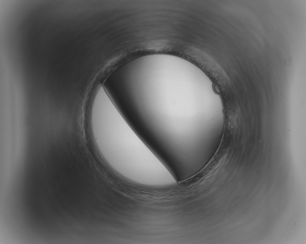 X0000102540256200808081056