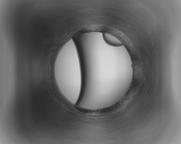 X0000102540259200808081056