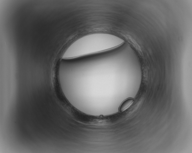X0000102540260200808081056