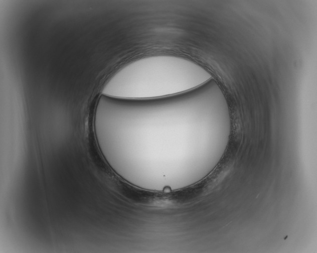 X0000102540262200808081056