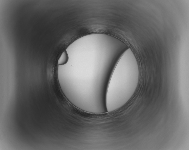 X0000102540263200808081056